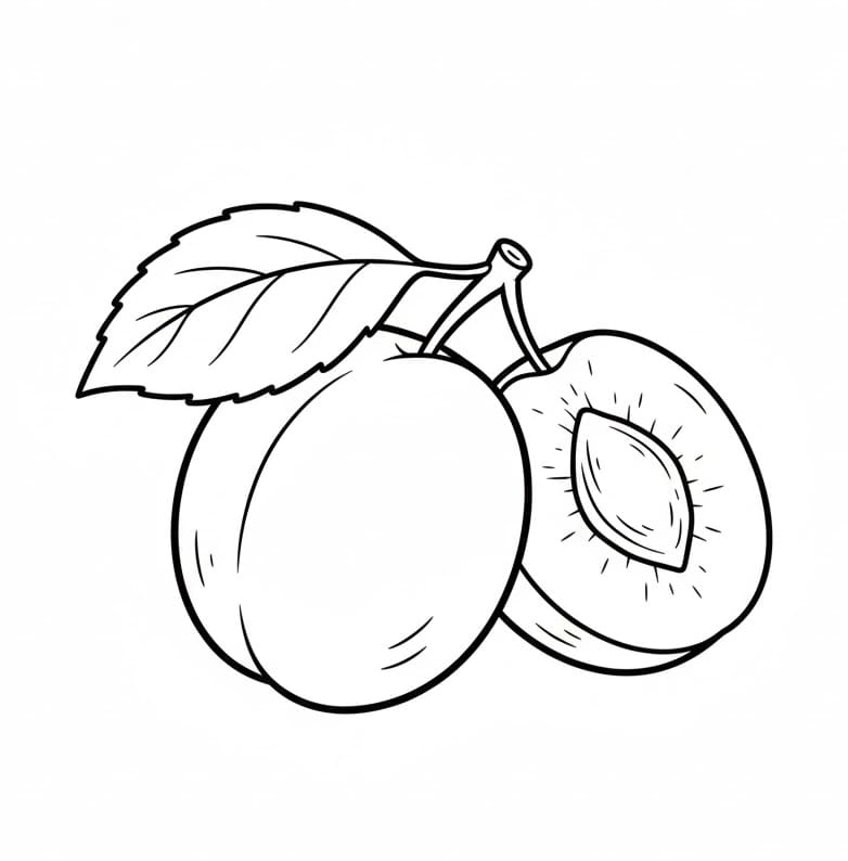 ระบายสี ลูกพลัมฟรี