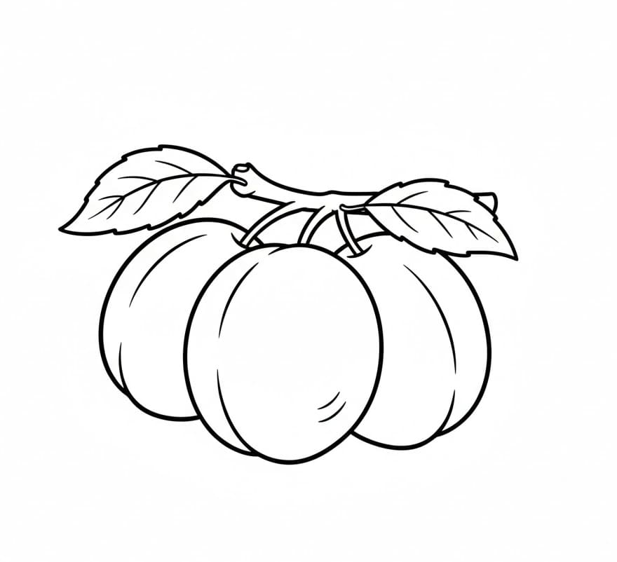 ระบายสี ลูกพลัมหวาน