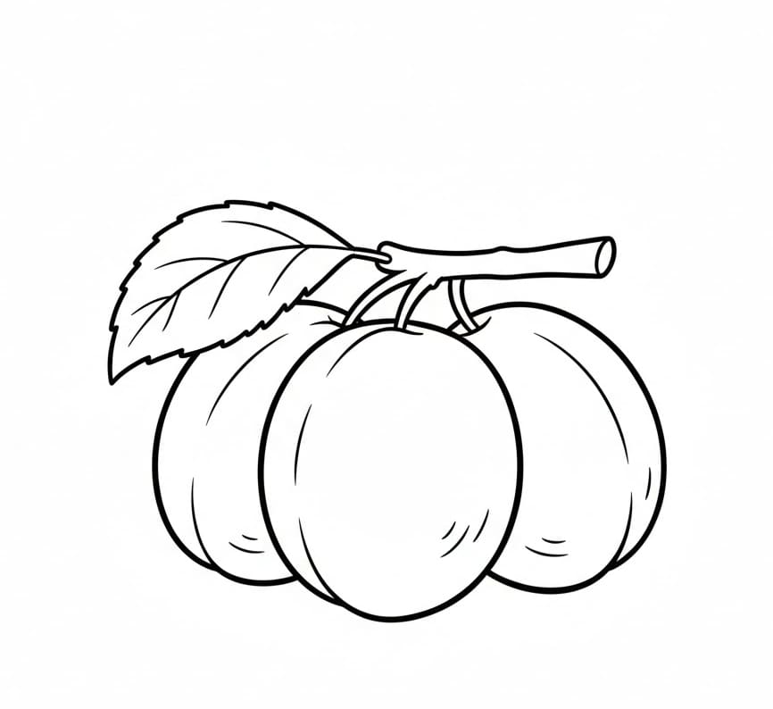 ระบายสี ลูกพลัมกิ่ง