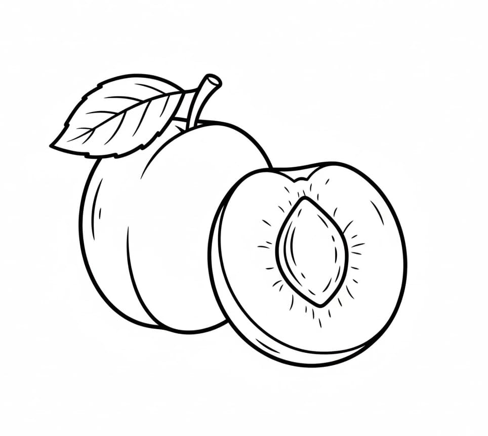 ระบายสี ลูกพลัมนั้นง่ายมาก