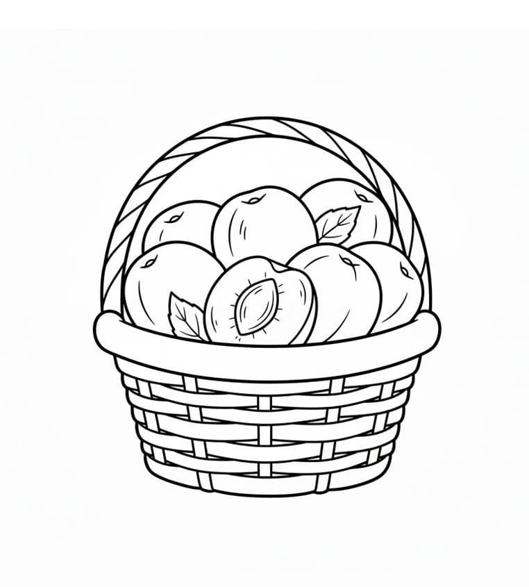 ระบายสี ลูกพลัมในตะกร้า