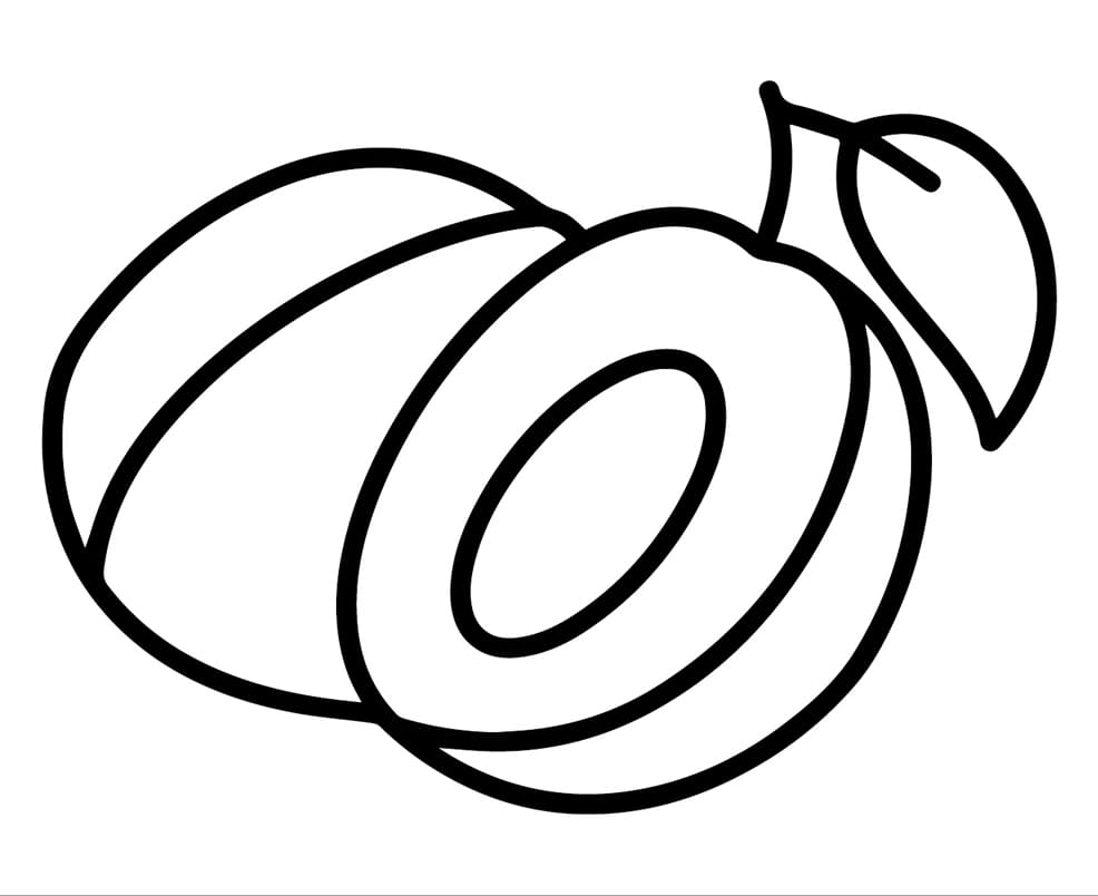 ระบายสี ลูกพลัมสำหรับเด็ก