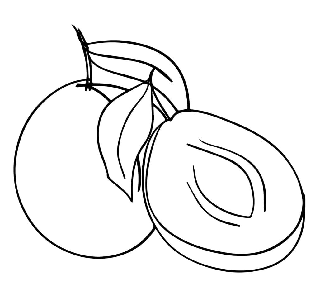 ระบายสี ลูกพลัมสำหรับพิมพ์ฟรี