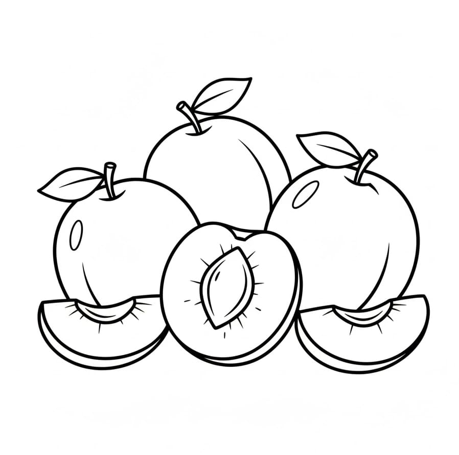 ระบายสี ลูกพลัมอร่อย