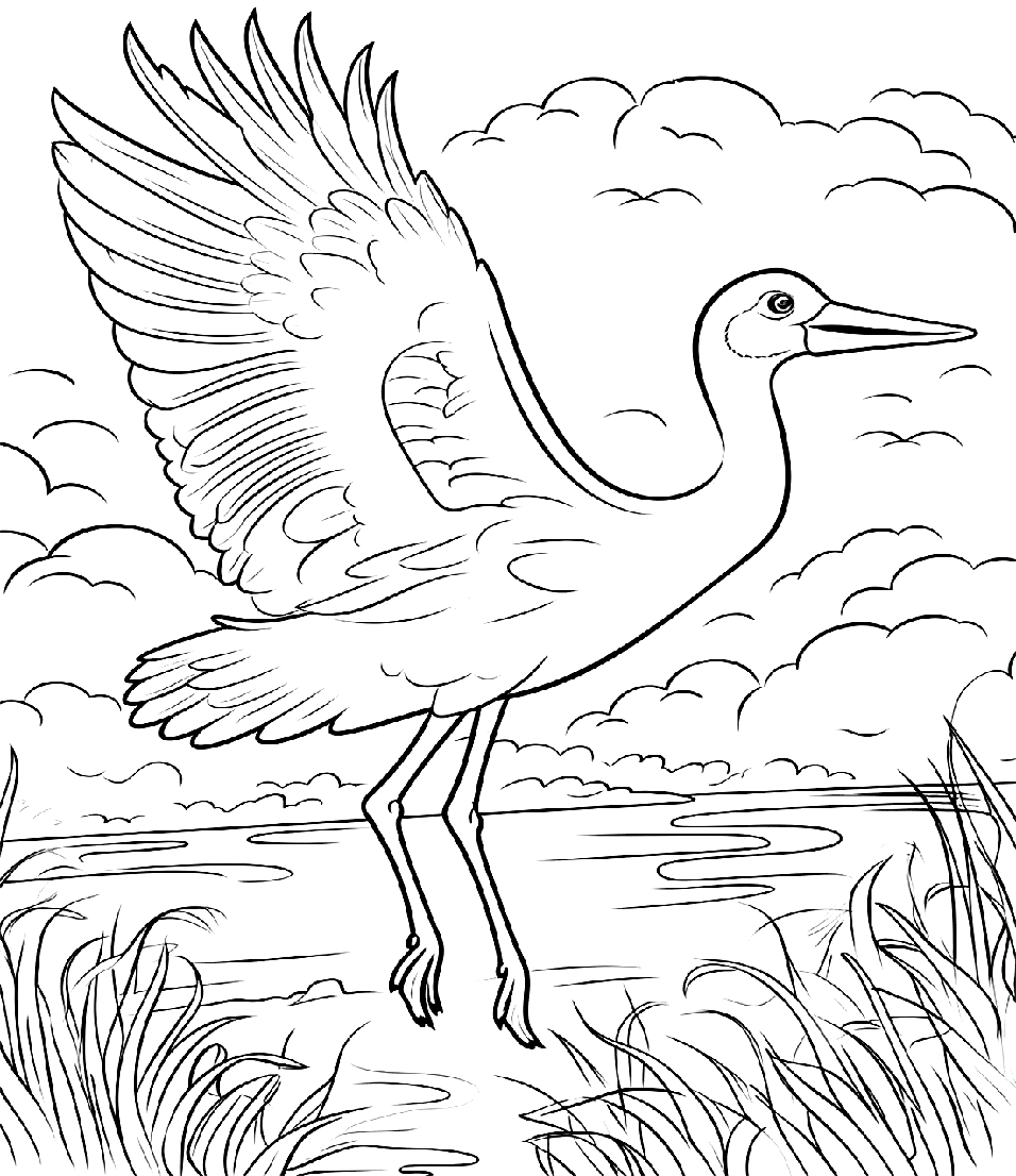 ระบายสี นกกระสาบินอยู่