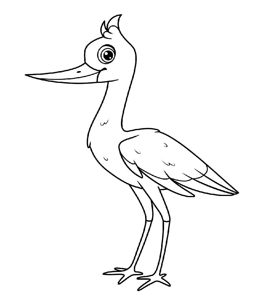 ระบายสี นกกระสาหน้ายิ้ม