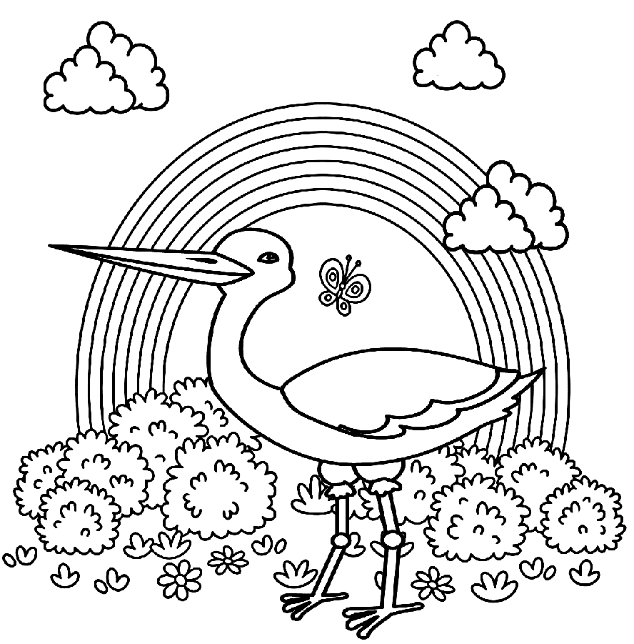 ระบายสี นกกระสากับสายรุ้ง