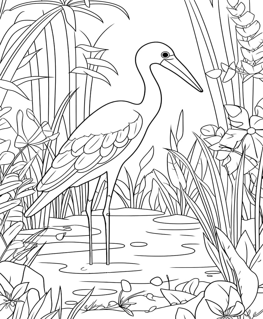 ระบายสี นกกระสาในบึง