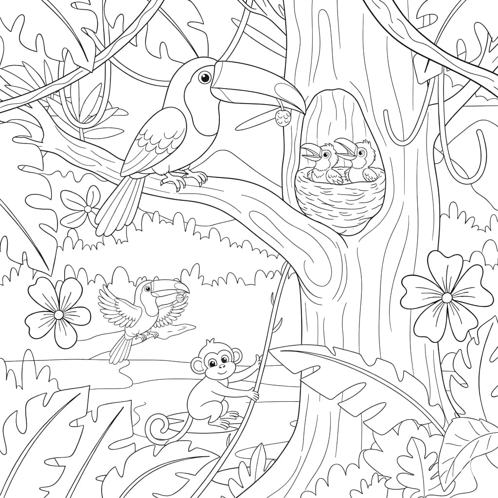 ระบายสี นกทูแคนในป่า