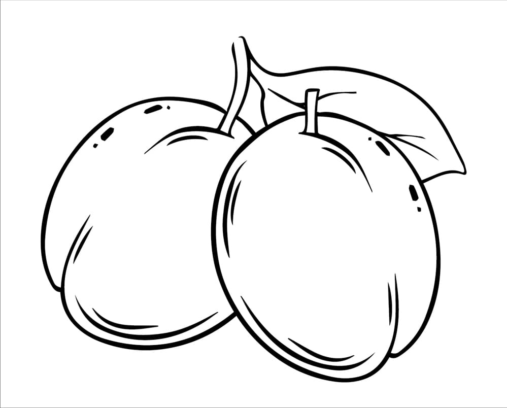 ระบายสี ภาพลูกพลัมสำหรับพิมพ์ฟรี