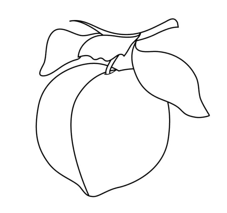 ระบายสี ภาพพิมพ์ลูกพีชฟรี