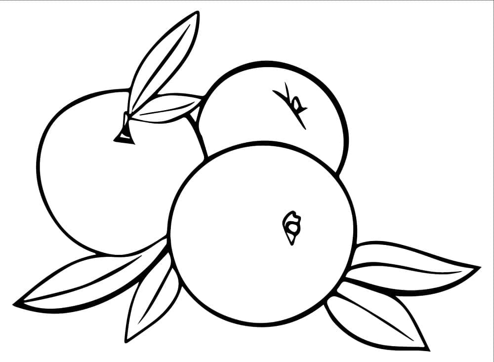 ระบายสี พีชสำหรับพิมพ์