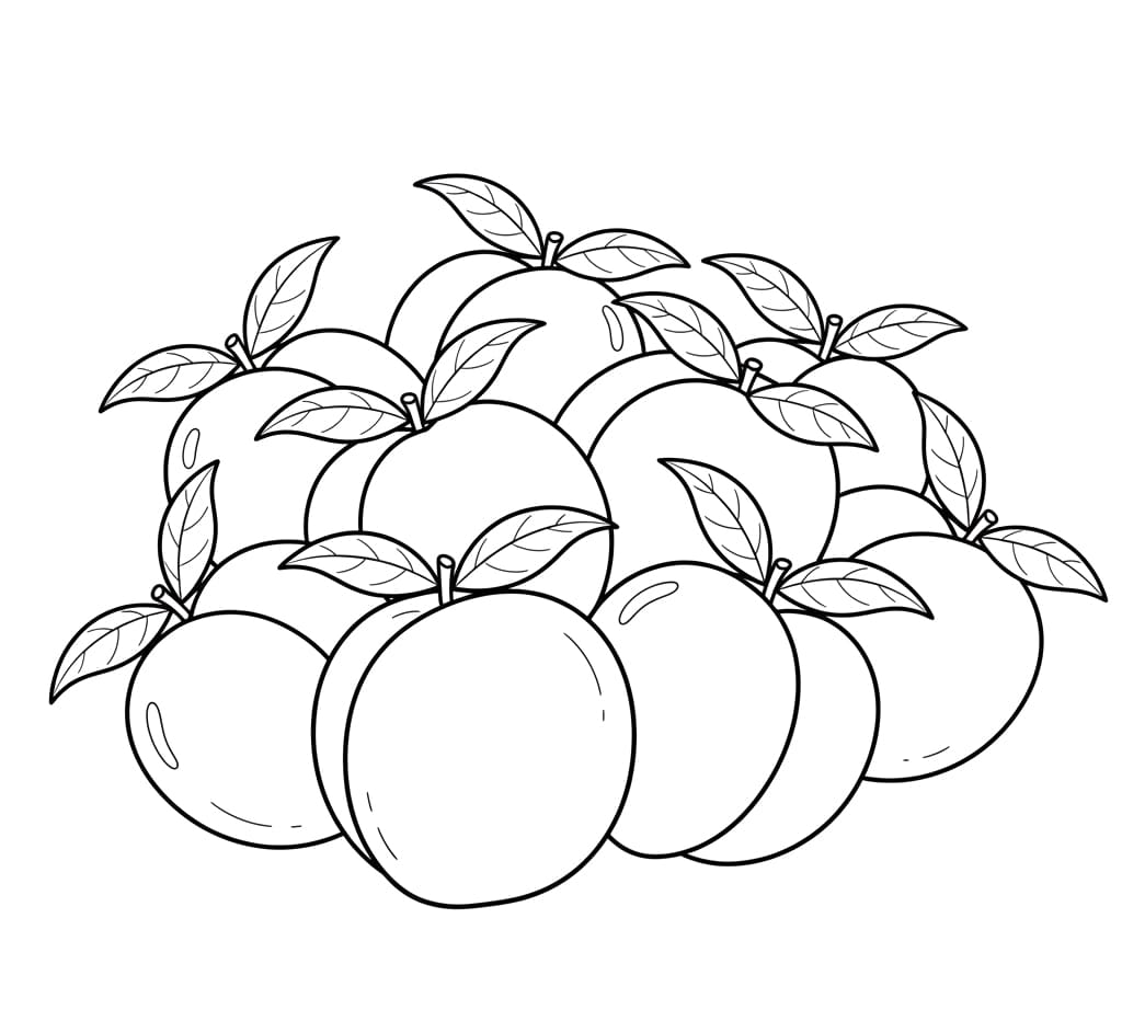 ระบายสี พิมพ์ฟรีลายพีช