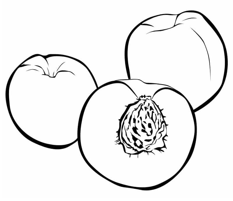 ระบายสี พิมพ์ฟรีรูปพีช