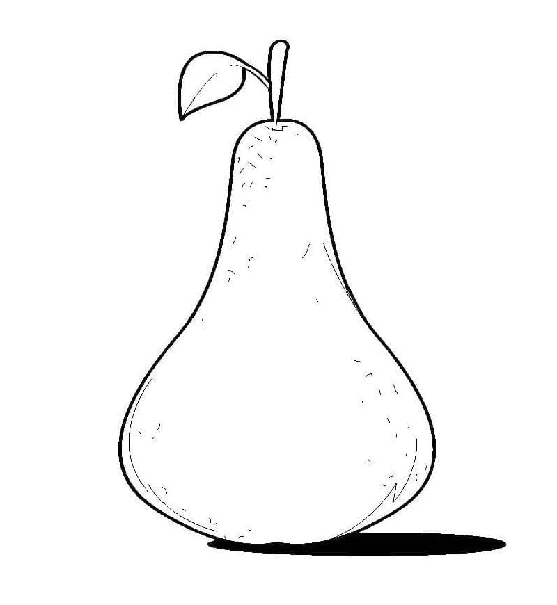 ระบายสี ผลแพร์