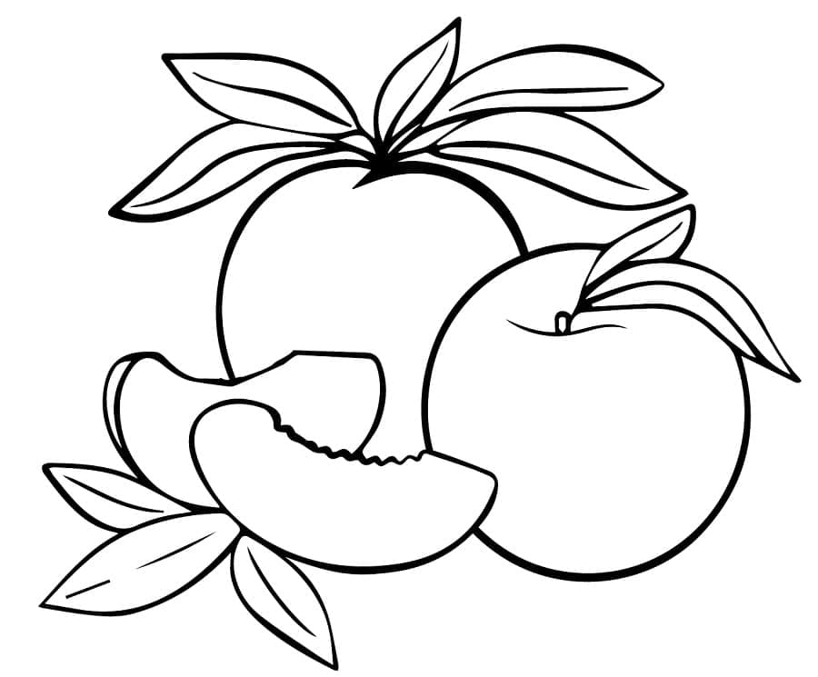 ระบายสี ผลพีช