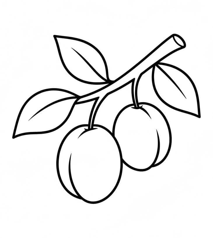 ระบายสี พลัมเบส