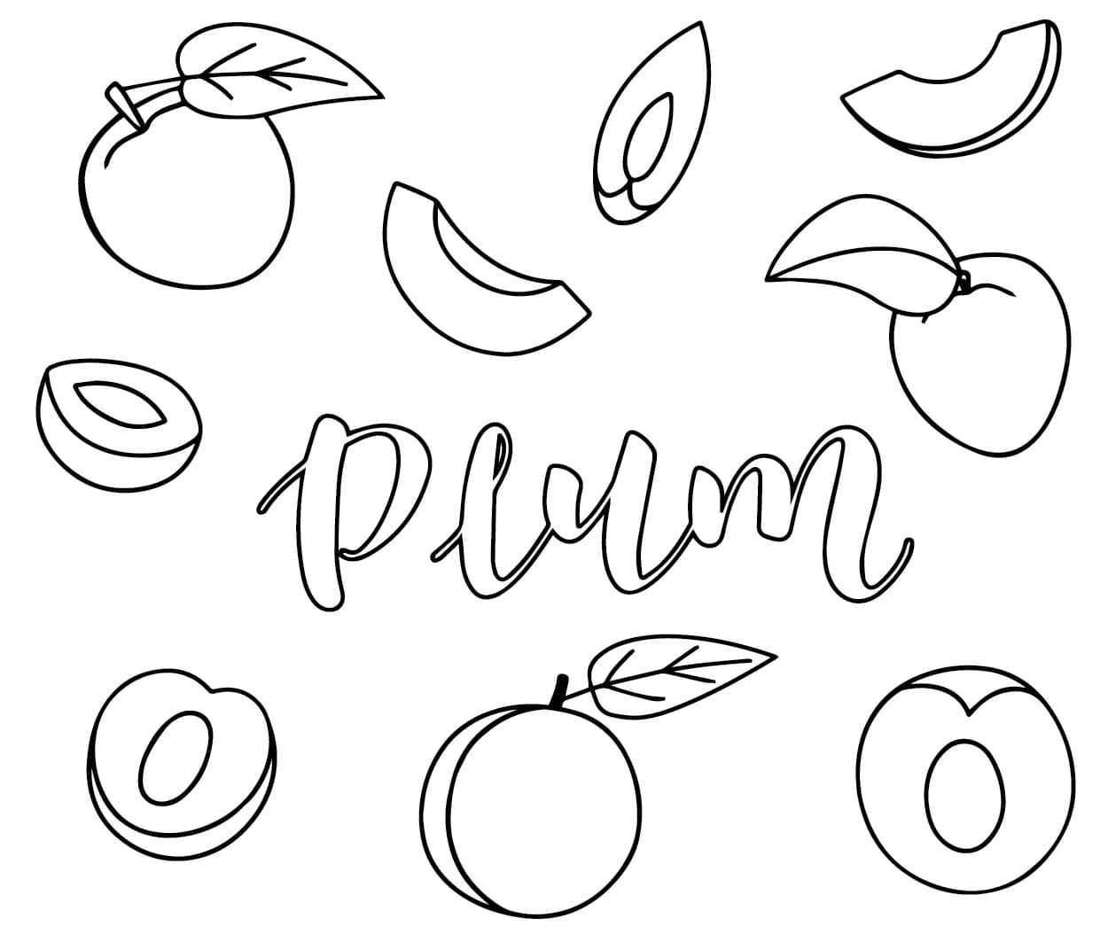 ระบายสี พลัมชีทส์