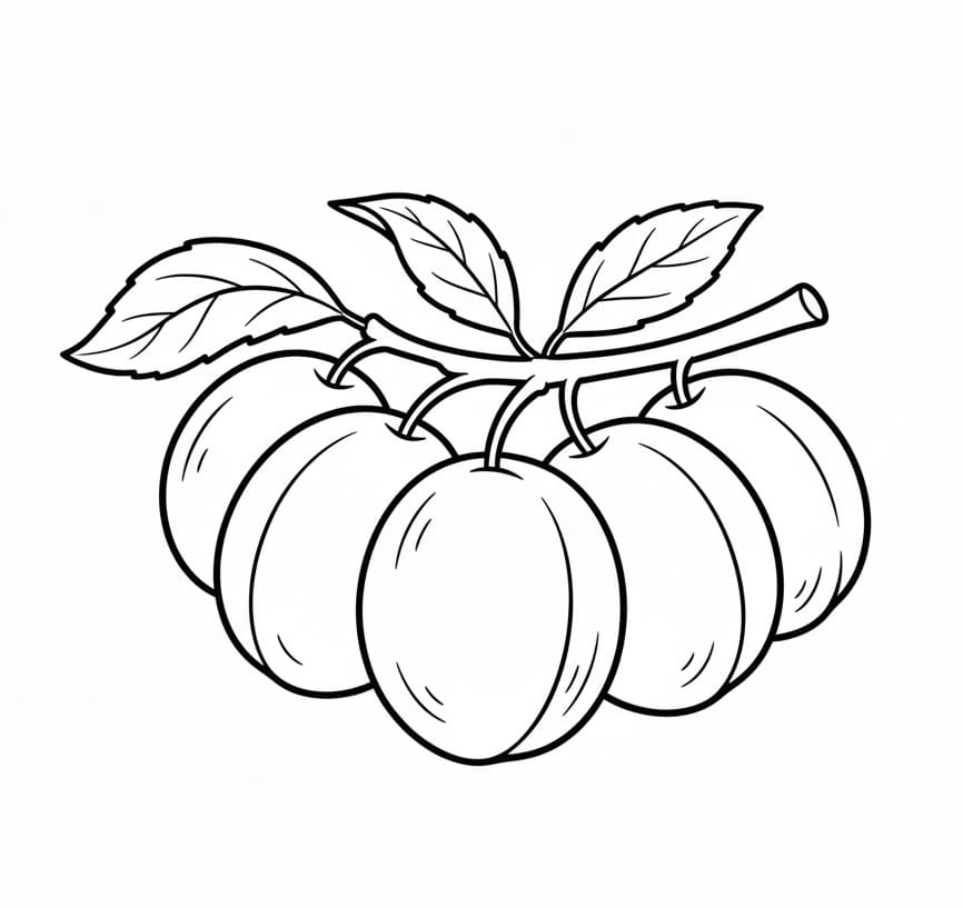 ระบายสี พลัมห้าลูก