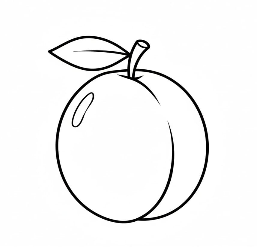 ระบายสี พลัม