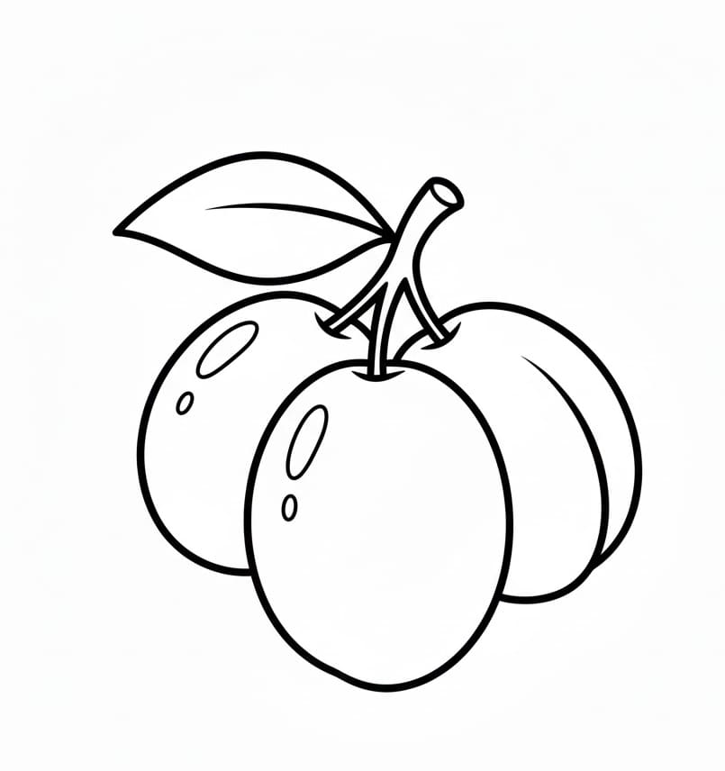 ระบายสี พลัมสามลูก