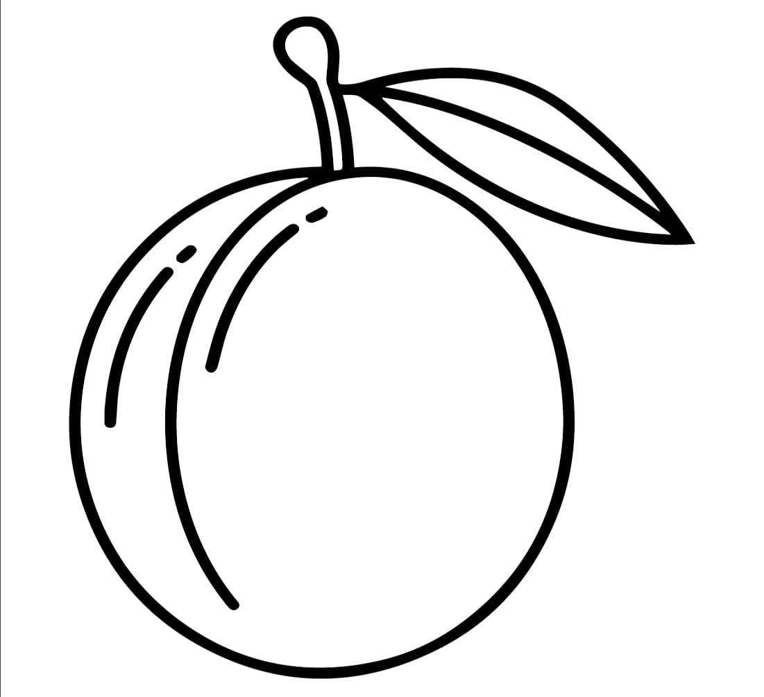 ระบายสี สีพลัม