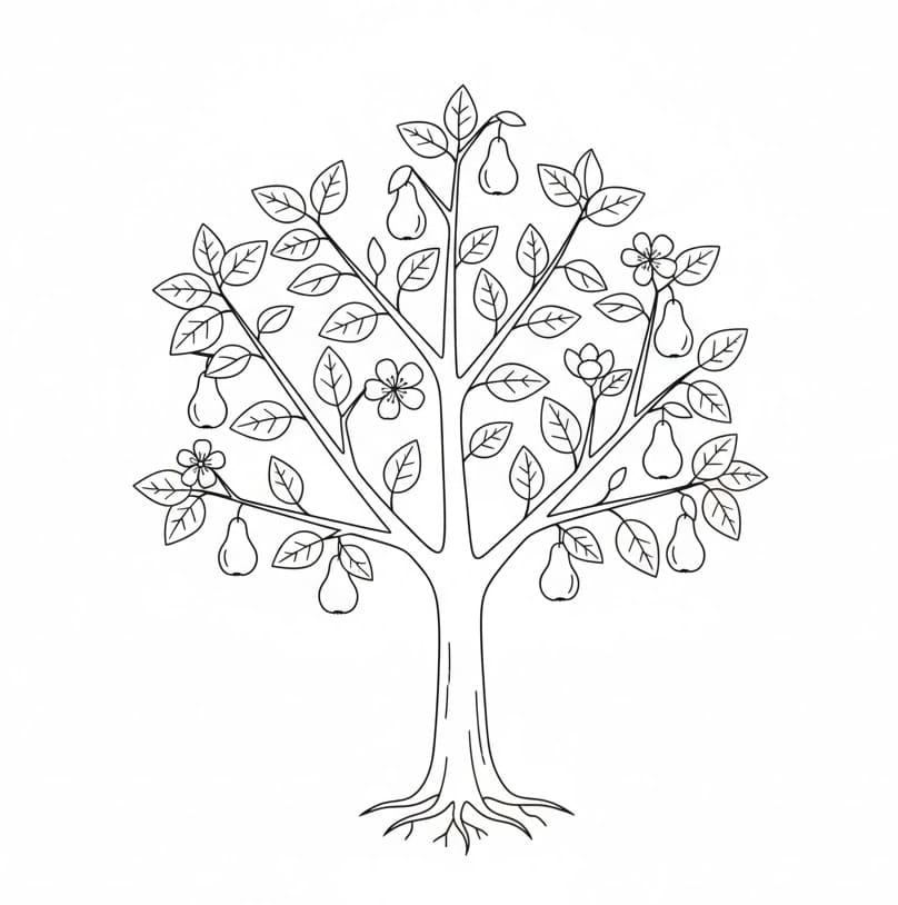 ระบายสี ต้นลูกแพร์ฟรี