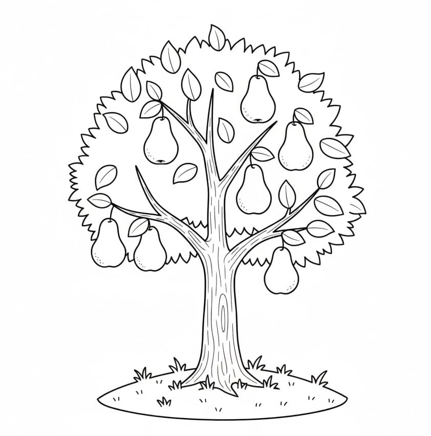 ระบายสี ต้นลูกแพร์