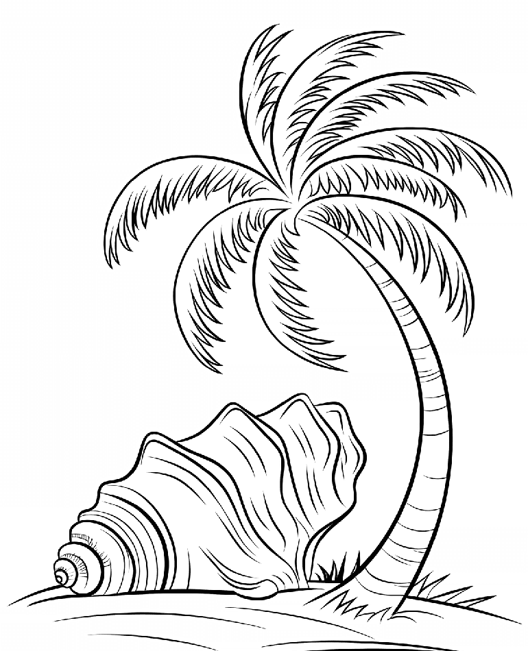 ระบายสี ต้นมะพร้าวกับเปลือกหอย