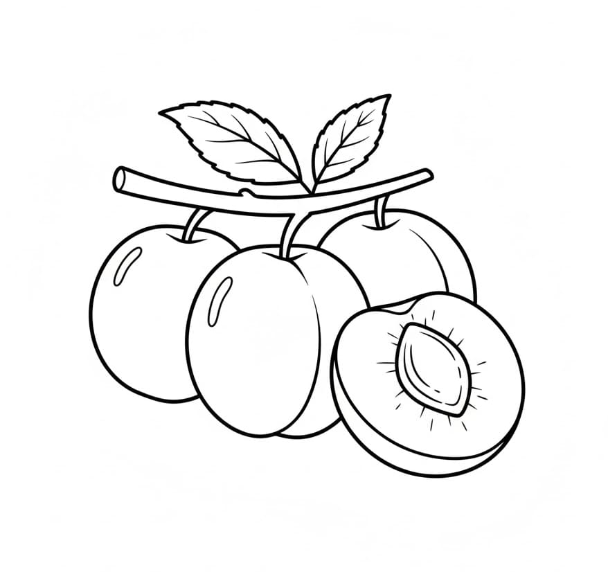 ระบายสี วาดรูปพลัม