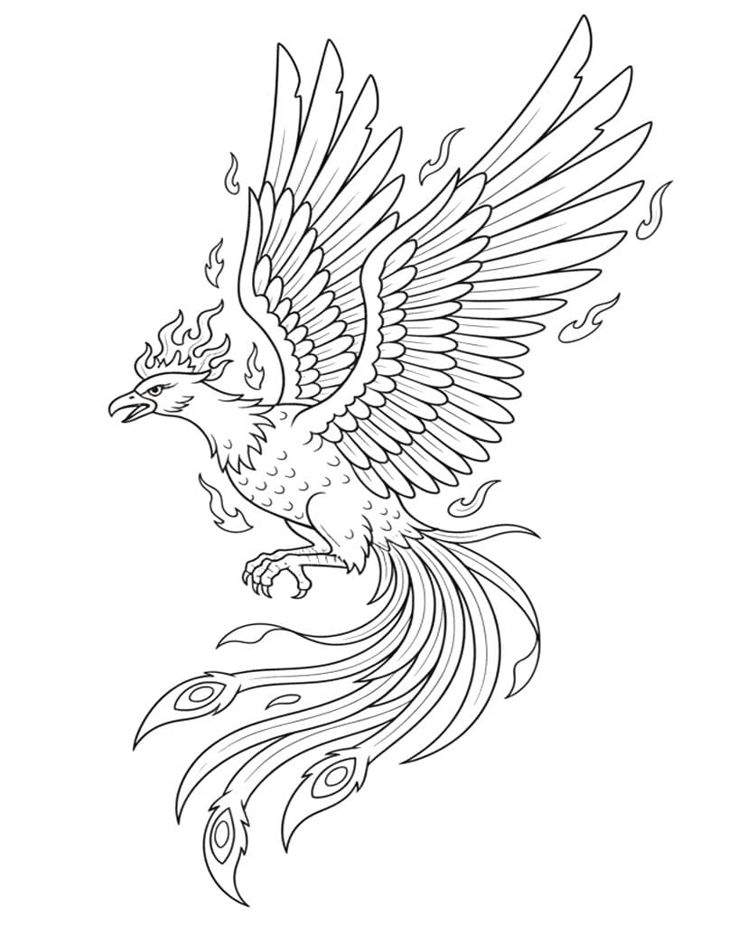 ระบายสี ฟีนิกซ์ทะยานฟ้า