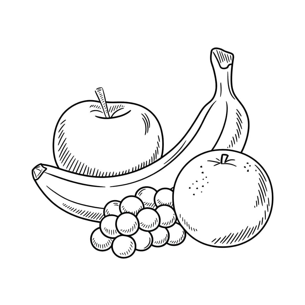 ระบายสี ภาพสเก็ตช์ผลไม้แบบง่าย