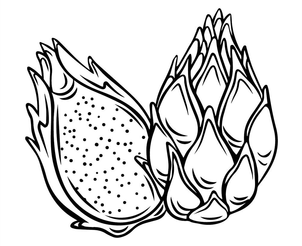 ระบายสี ผลไม้แก้วมังกร