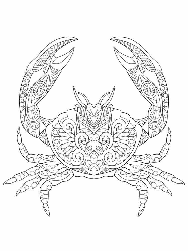 ระบายสี ปูสำหรับผู้ใหญ่