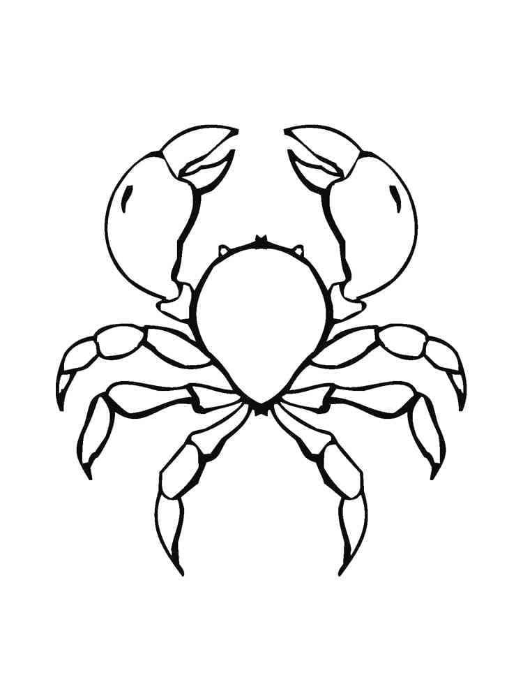 ระบายสี ปูที่ทำง่ายมาก