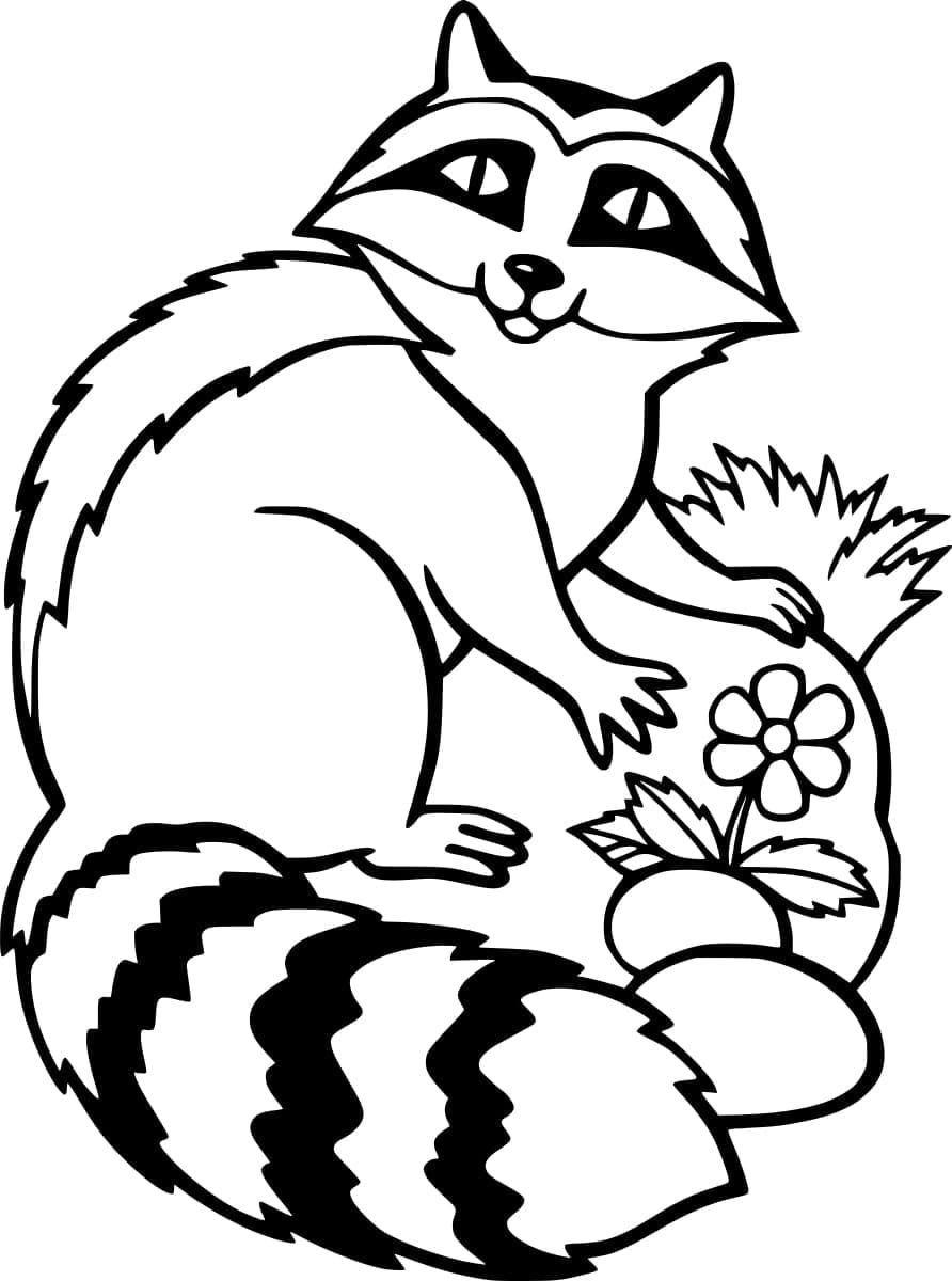 ระบายสี แรคคูนและดอกไม้