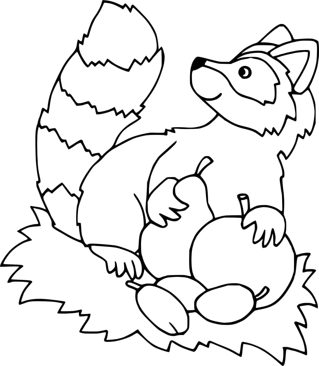 ระบายสี แรคคูนและผลไม้