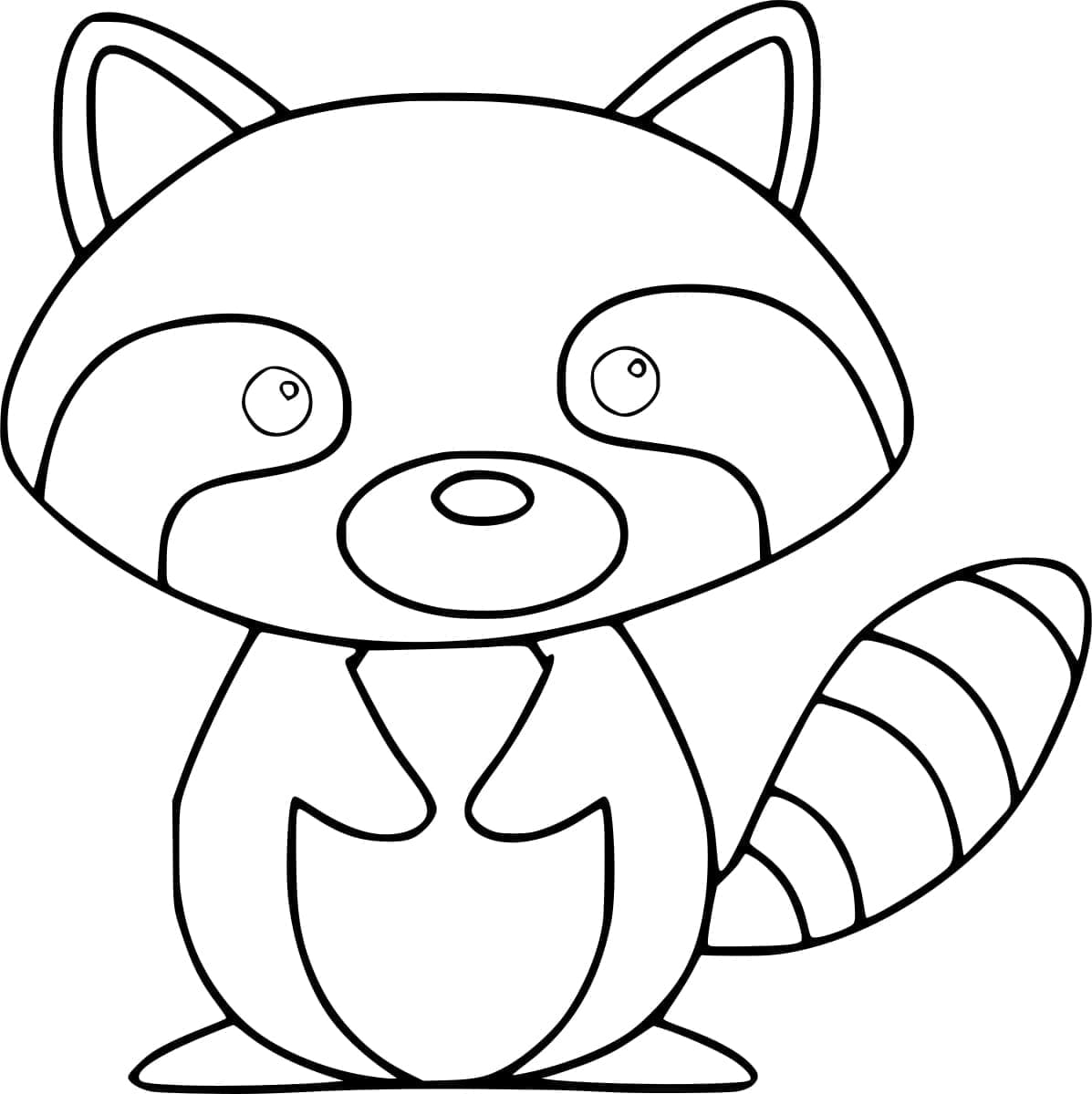 ระบายสี แรคคูนน่ารัก ฟรี