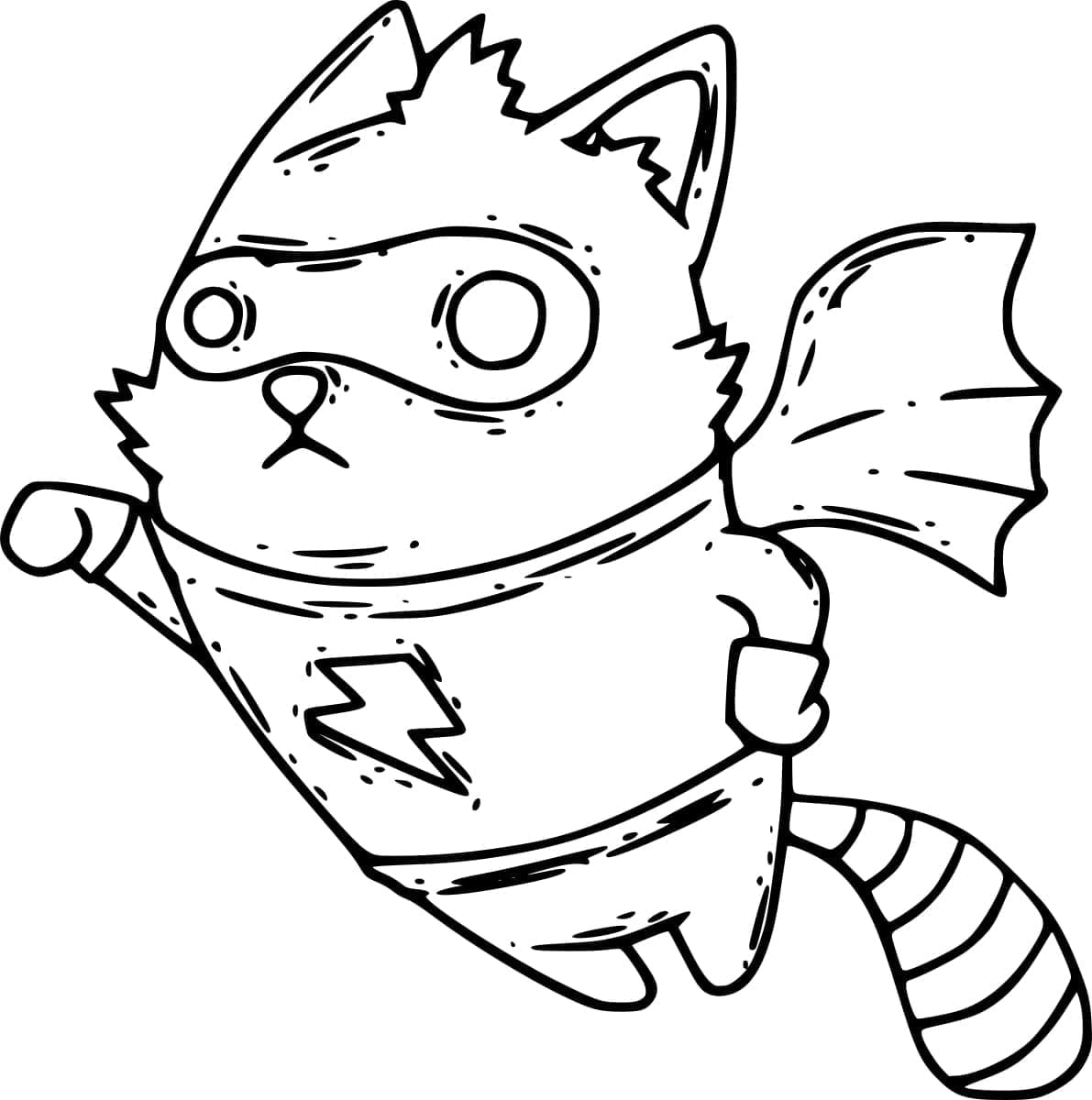 ระบายสี แรคคูนซูเปอร์ฮีโร่