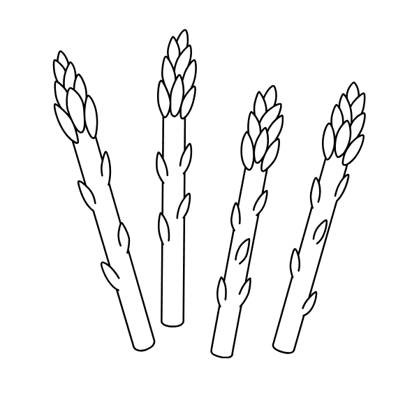 ระบายสี หน่อไม้ฝรั่ง