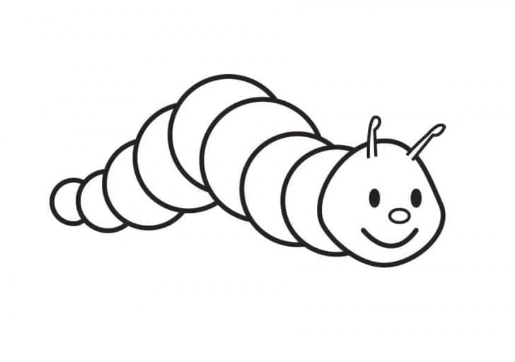 ระบายสี หนอนน้อยน่ารัก