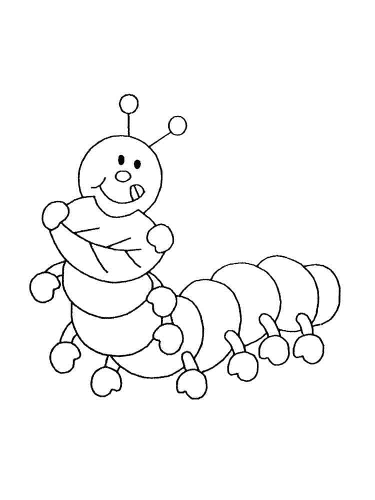 ระบายสี หนอนผีเสื้อและใบไม้