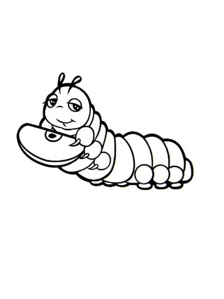 ระบายสี หนอนผีเสื้อสำหรับเด็ก