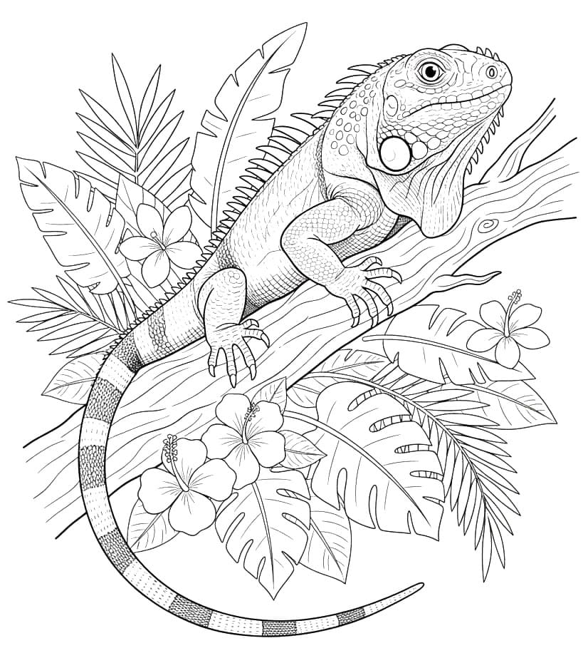 ระบายสี การล่าอีกัวน่า