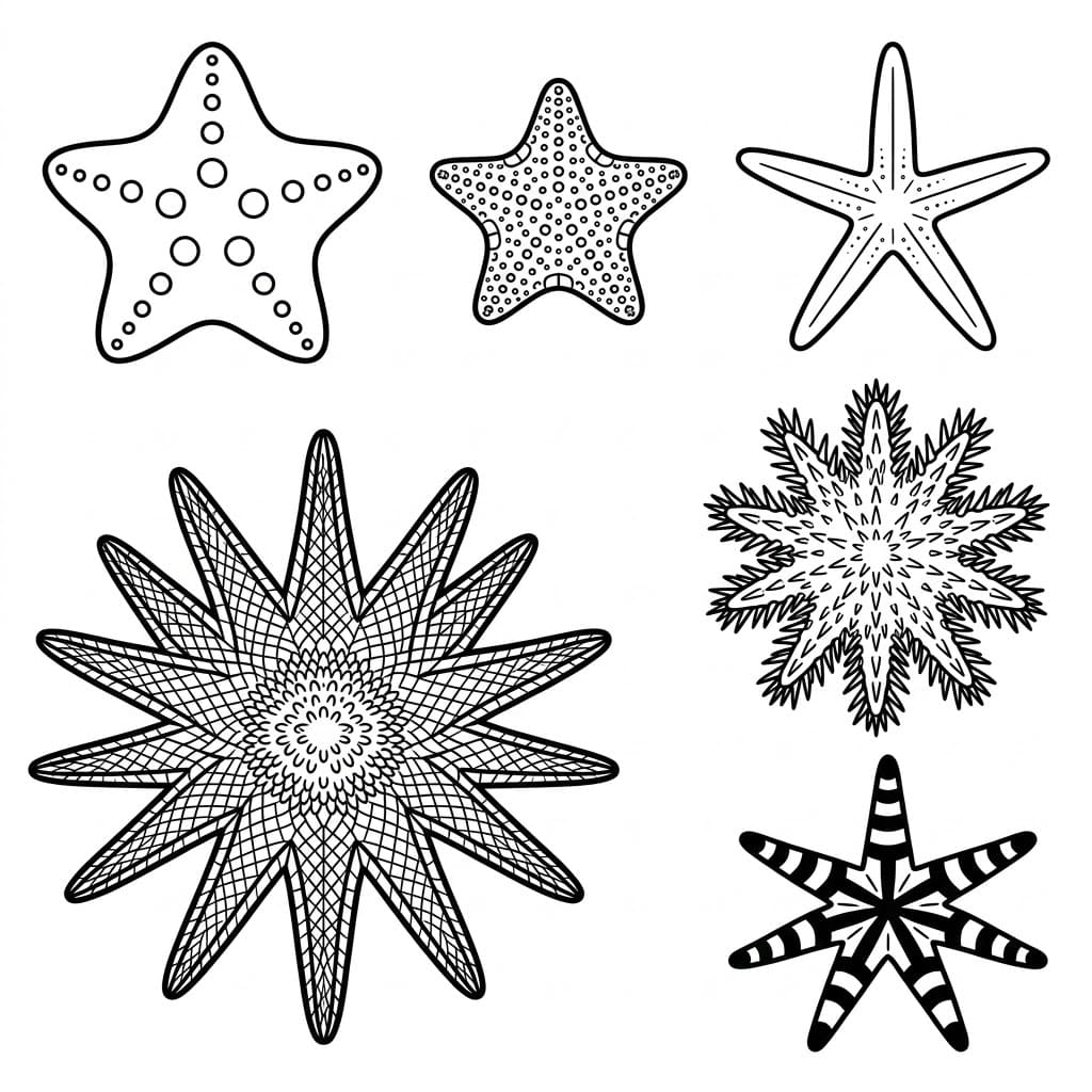 ระบายสี กลุ่มดาวทะเล