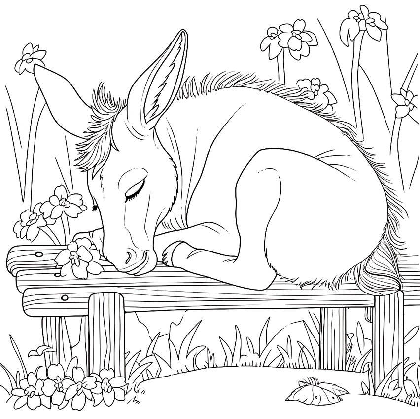 ระบายสี ลานอนหลับ