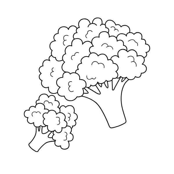 ระบายสี ผักบรอกโคลี