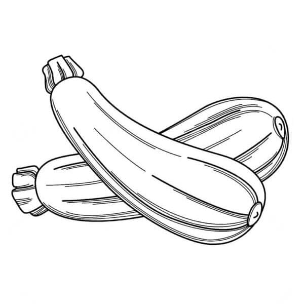 ระบายสี ผักบวบสีเขียวอ่อน