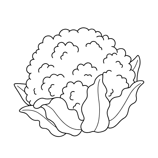 ระบายสี ผักดอกกะหล่ำ