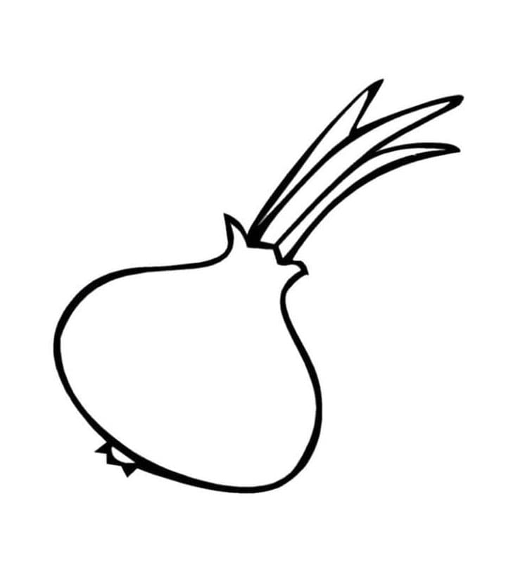 ระบายสี ผักหัวหอม